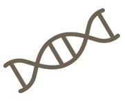 iconotestgenetica